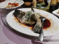 清蒸龙胆鱼-紫阳海鲜楼·传承闽味(长乐路总店)