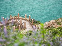 -蓬莱阁景区