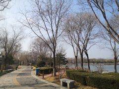 -燕郊植物园