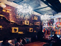 -more than meow吴止猫主题餐厅(承德 中船汇店)