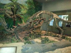 -自贡恐龙博物馆