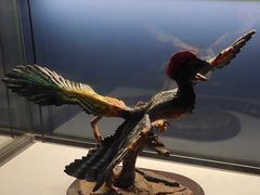 -湖南省地质博物馆