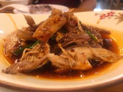 -易老妈蹄花.特色川菜(人民公园总店)