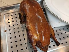 -眉州东坡(亚运村店)