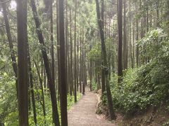 -雁荡山大龙湫景区