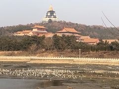 -威海大乳山景区