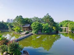 -三垟湿地