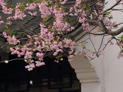 -莫愁湖公园