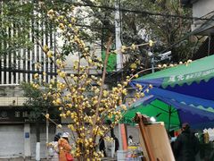 -悟饮门市景店