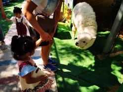 -萌宠亲子动物乐园(槐房万达店)