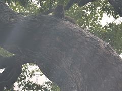 -西湖游船