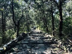 -阳台山自然风景区