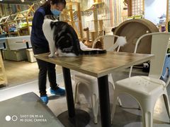 -小时光咖啡馆(开森度假森林店)