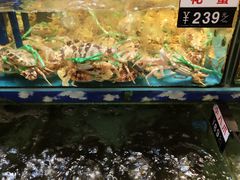 -乐在集市海鲜大排档(平潭店)
