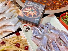 -耗儿鱼蛙蛙叫·老成都火锅(蛇口海昌街店)
