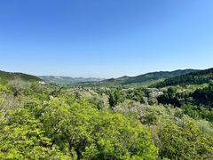 -井塘古村