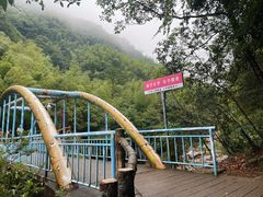 -黄山翡翠谷景区