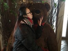 -济州岛泰迪熊博物馆