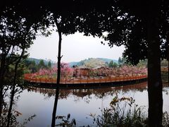 -田园寨农园观光园