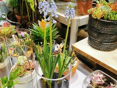 -双季花艺园艺市场(浦东店)