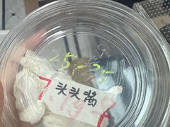 -酷以爬仙阁实体爬宠店·守宫·蜥蜴·专业繁育