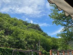 -Local泰莲庭(虹鳟鱼店)