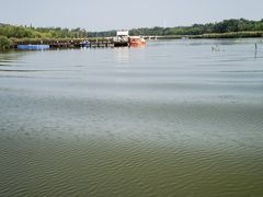 -西青郊野公园