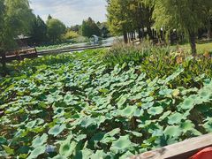 -东台西溪天仙缘景区
