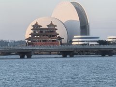-野狸岛