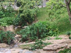 -广州市白云山风景名胜区