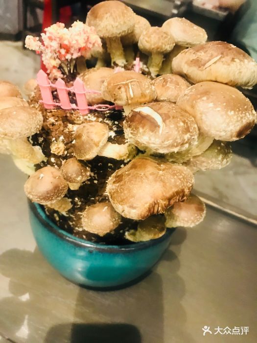 捞王锅物料理(怡丰城店)活体菌菇图片 - 第1张