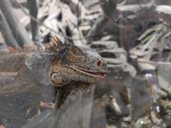 -Zoolung Zoolung动物主题公园(海信广场店)