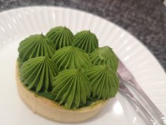-猫里有甜