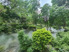-东莞植物园