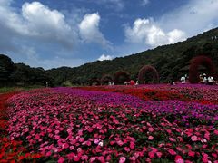 -广州市石门国家森林公园