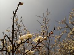 -阿哈湖国家湿地公园