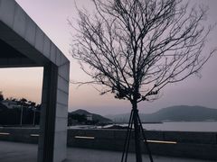 -杨梅坑