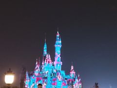 -迪士尼乐园停车场