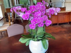 -浙江西子宾馆·瑶园咖啡厅