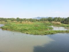 -烟水渔庄餐厅(西溪湿地店)