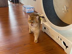 -星巴克(珠海中邦酒店店)