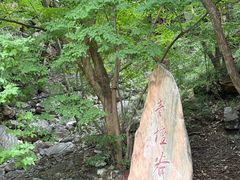 -北京上方山国家森林公园