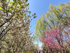 -元大都城垣遗址公园