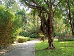 -深圳国际园林花卉博览园