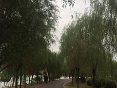 -武清南湖绿博园