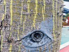 -怡海公园(桂城街道)