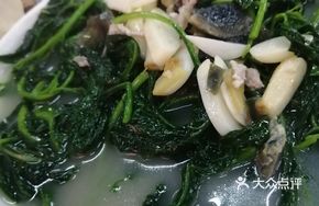 Mixed Vegetable Salad