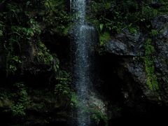 -龙苍沟森林公园