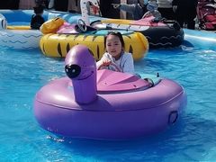 -朝阳公园游乐园