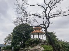 -广州市白云山风景名胜区